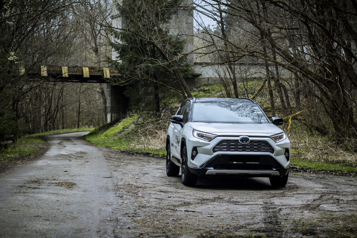 Toyota Rav4 hybrid - stromy